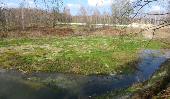 Sanierung beendet: Das Gebiet ist seit April 2021 wieder sich selbst überlassen. Foto: Mario Fickel